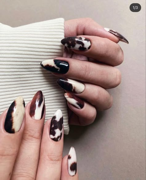 Fall Nail Idea, Nail Design Glitter, Face Cake, Western Nails, Cow Nails, Nail Idea, Fire Nails, Funky Nails, Dream Nails