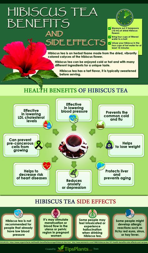 Benefits Of Hibiscus Tea, Benefits Of Hibiscus, Hibiscus Tea Benefits, Calendula Benefits, Matcha Benefits, Lemon Benefits, Coconut Health Benefits, Benefits Of Coconut Oil, Tea Benefits