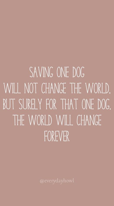 Saving one dog will not change the world, but surely for that one dog, the world will change forever. Dog Lovers Quotes, Rescue Dog Quotes, Quotes About Dogs, Dog Mom Quotes, Cute Dog Quotes, Earth Quotes, Dogs Quotes, Colorful Hairstyles, Pet Quotes