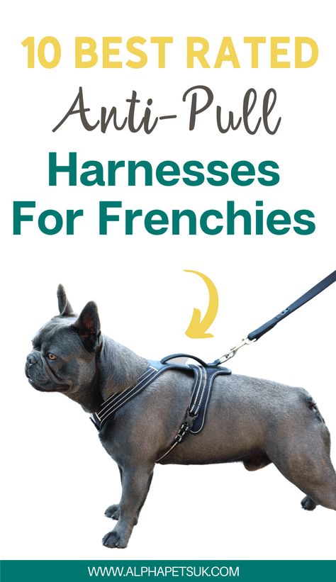 french bulldog dog no pull harness Collars For Frenchies, Frenchie Training Tips, French Bulldog Training Tips, French Bulldog Accessories, Frenchie Essentials, Frenchie Tips, Mochi Bear, Eco Friendly Pet Products, Dog Names Unique