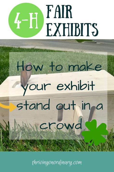 Looking for ways to take your 4-H fair exhibit to the next level? Going beyond a poster. Tips for making your exhibits great! #thrivingonordinary.com#4H#4Hfairexhibits 4h Educational Display Ideas, 4h Decorations For Fair, 4h Horse Poster Ideas, Pig Poster Ideas For Fair, National 4-h Week Ideas, Rabbit Posters For 4-h, 4h Rabbit Poster Ideas, Cloverbud 4h Projects, 4 H Poster Ideas