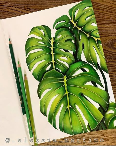 Colored Pencil Succulent Drawing, Colored Pencil Artwork Ideas, Majestic Tree, Color Pencil Sketch, Tree Tattoos, Color Drawing Art, Colored Pencil Artwork, Plants Green, Wonders Of Nature