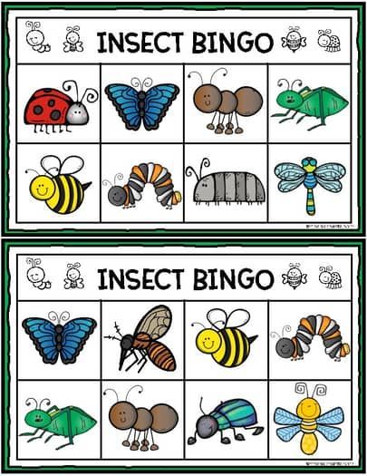 Insect BINGO Preschool Insects Activities, Book Woman, Free Bingo Cards, Insects Preschool, Bugs Preschool, Insect Activities, Insect Crafts, Bingo Template, Insects Theme