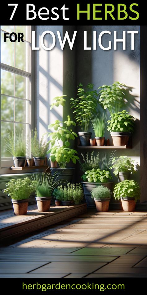 Discover the best indoor herbs for low light conditions. Practical guidelines and expert tips for growing herbs indoors without sunlight. Kitchen Grow Lights Indoor Herbs, Indoor Garden Lighting, Living Room With Tree Inside, Indoor Herbs Ideas, Outdoor Grow Lights, Best Herbs To Grow Indoors, Inside Herb Garden Ideas, Kitchen Herb Garden Indoor, Growing Herbs Inside