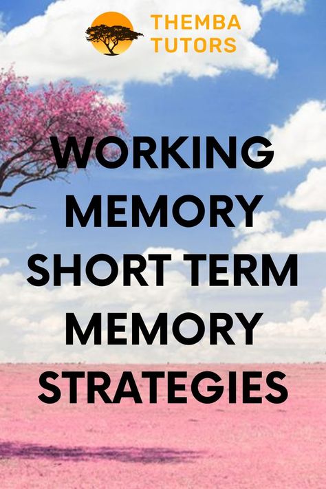 How can you improve your working memory or short-term memory? Here are working memory and short-term memory strategies that will help you retain and learn information. How To Improve Short Term Memory, Improve Short Term Memory, Short Term Memory Activities For Adults, Working Memory Activities For Kids, Memory Tips, Memory Strategies, Memory Improvement, Memory Exercises, Memory Activities