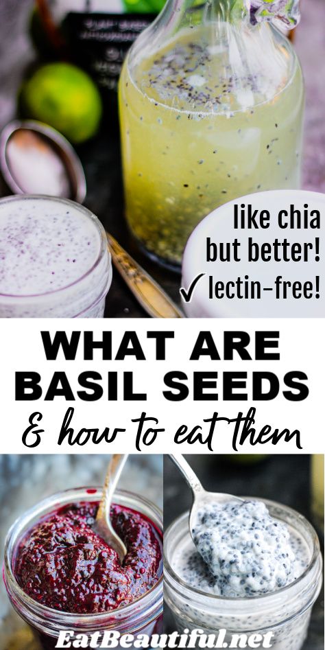 What are BASIL SEEDS & How to Eat Them Aip Pudding, Basil Seeds Benefits, Healthy Substitutes, Traditional Bread Recipe, Seeds Recipes, Lectin Free Foods, Primal Living, Eat Beautiful, Healthy Foods To Make