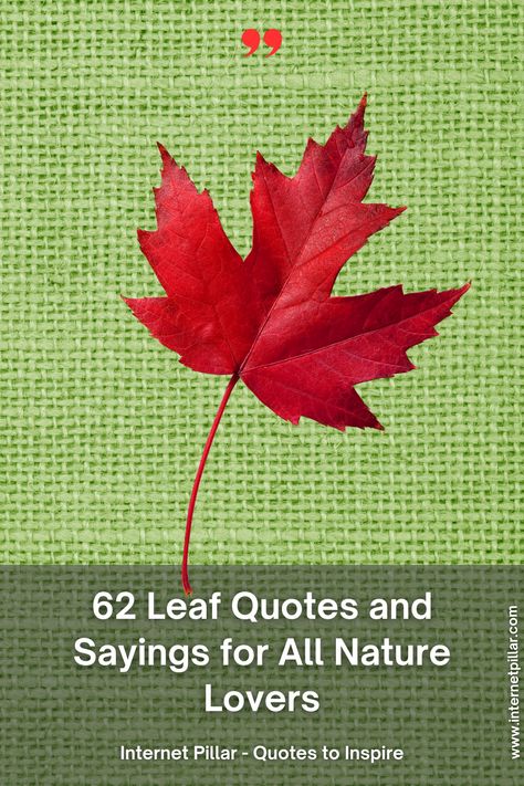 62 Leaf Quotes and Sayings for All Nature Lovers - quotes | inspirational quotes | motivational quotes | inspiring quotes | quotes of the day | quotes about life | life quotes | love quotes - #quotes #love #motivation #inspiration #life #quote #quoteoftheday #success #motivationalquotes #inspirationalquotes #quotestoliveby #photooftheday #happy #travel #lifestyle #positivevibes #lifequotes #instagram #poetry #follow #nature #inspiringquotes #selfimprovement Leaves Quotes Nature, Quotes About Leaves, Exceptional Quotes, Nature Lover Quotes, Leaf Quotes, Tree Quotes, Dancing On The Edge, Instagram Poetry, Leaf Peeping