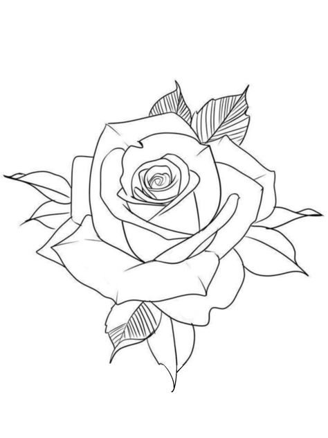 Realistic Rose Tattoo Stencil, Rosa Tattoo Designs, Rose Sketch Realistic, Rose Tattoo Stencil Outline, Rose Tattoo Outline, Roses Outline, Rose Line Drawing, Rose Outline Drawing, Hand Tatts