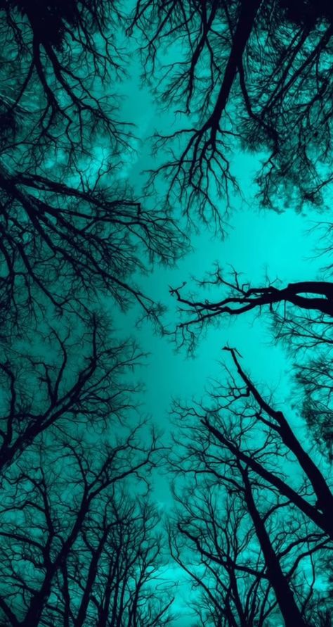 Dark Turquoise Aesthetic, Turquoise Aesthetics, Turquoise Pictures, Aesthetic Green Wallpaper, Teal Aesthetic, Turquoise Highlights, Turquoise Aesthetic, Turquoise Wallpaper, Dark Green Aesthetic