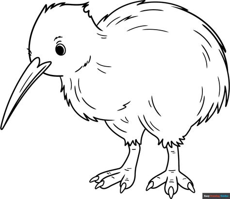 Free, printable kiwi bird coloring page for kids. Print it out or color it online. https://easydrawingguides.com/coloring-pages/kiwi-bird/ Jacana Bird, Bird Coloring Page, Birds For Kids, Bird Coloring, Easy Bird, Easy Animal Drawings, Kiwi Bird, Black And White Cartoon, Animal Character