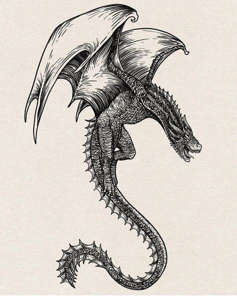 Winged Dragon Tattoo Designs, Medium Dragon Tattoo, Dragons In Flight, Sketch Dragon Tattoo, Norwegian Dragon Tattoo, Two Headed Dragon Tattoo, Dragon Wings Back Tattoo, Abraxos Wyvern Tattoo, Dragon Flying Drawing