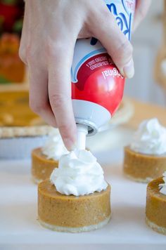 The Easiest Mini Pumpkin Pies You'll Ever Make Prek Pumpkins, Board Snacks, Individual Pumpkin Pie, Tailgate Menu, Apple Bites, Pumpkin Pie Ice Cream, Hot Desserts, Thanksgiving Snacks, Chocolate Creations