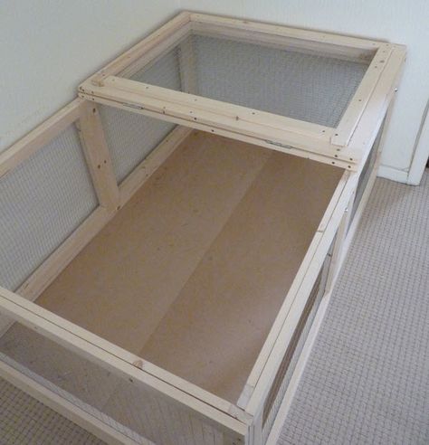 Indoor Guinea Pig Cage, Diy Guinea Pig Cage, Hamster Life, Hamster Habitat, Bunny Room, Pet Bunny Rabbits, Play Pen, Rabbit Cages, Cat Sanctuary