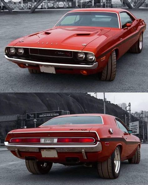 70 Challenger, Dodge Challenger 1970, Holden Monaro, 1970 Dodge Challenger, Aussie Muscle Cars, Dodge Muscle Cars, Old Ford Trucks, Mopar Cars, Best Muscle Cars