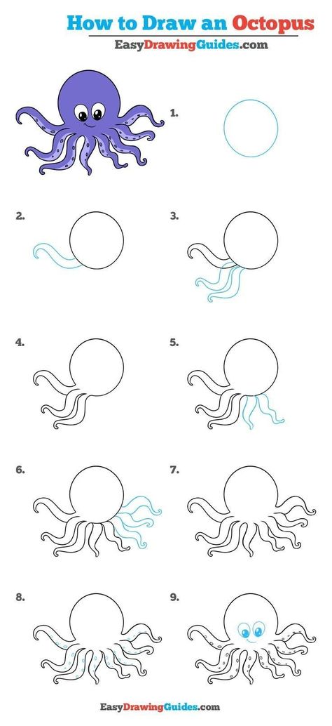 How to Draw An Octopus Draw An Octopus, Octopus Drawing, Doodle Art For Beginners, Easy Drawing Tutorial, Drawing Tutorials For Kids, Easy Drawings For Kids, Drawing Tutorial Easy, Drawing For Beginners, Easy Drawing