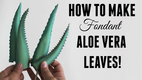 Wow so easy! Learn how to make realistic fondant Aloe vera leaves! Fondant Succulents Tutorial, Plant Cakes Ideas, Plant Cakes, Dough Flowers, Clay Plants, Clay Succulents, Fondant Techniques, Baby Wreath, Baby Shower Cakes Girl