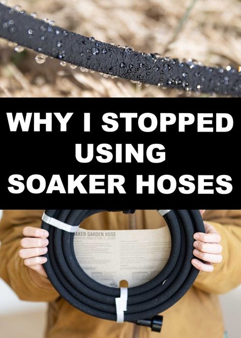 Why I Stopped Using Soaker Hoses - The Seasonal Homestead Soaker Hose Irrigation, Drip Hose, Drip Tape, Soaker Hose, Drip System, Foundation Planting, Market Garden, Drip Irrigation, Garden Irrigation System