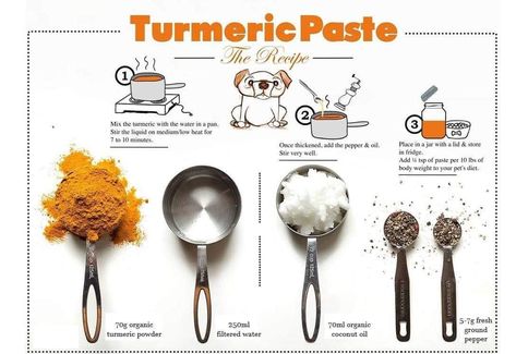 Golden Paste, Turmeric Paste, Dog Remedies, Paste Recipe, Food Dog, Raw Dog Food Recipes, Healthy Dog Food Recipes, Turmeric Benefits, Natural Detox