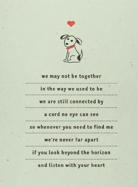 ♡☆ "We may not be together in the way we used to be we are connected by a cord no eye can see so whenever you need to find me we're never far apart If you look beyond the horizontally and listen with your heart" ☆♡ Losing A Dog Quotes, Losing A Pet Quotes, Listen With Your Heart, Pet Quotes Dog, Pet Poems, Miss My Dog, Dog Poems, Dog Quotes Love, Heaven Quotes