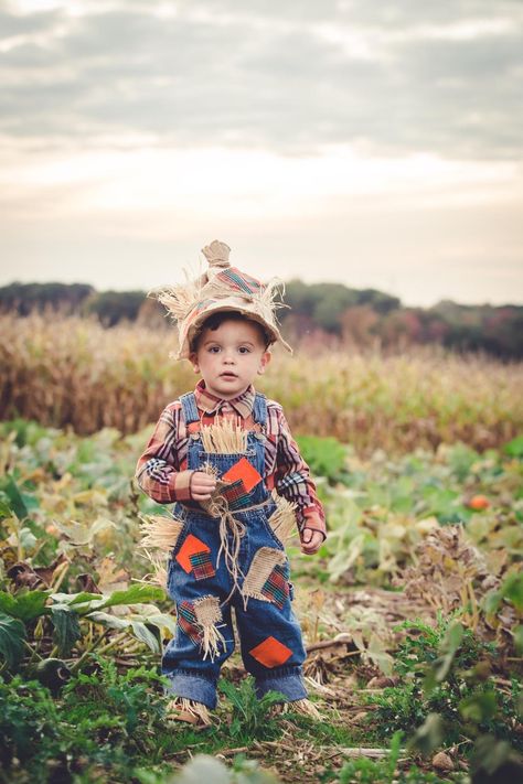 Toddler Boy DIY Scarecrow Costume Kids Scarecrow Costume, Toddler Scarecrow Costume, Halloween Toddler Boy, Diy Scarecrow Costume, Halloween Costumes Scarecrow, Scarecrow Makeup, Diy Scarecrow, Scarecrow Costume, Princess Halloween Costume