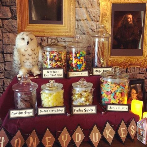 Graduation Party Favors Candy, Candy Table Signs, Harry Potter Chocolate, Honeydukes Candy, Lucas Baby, Harry Potter Treats, Hp Christmas, Harry Potter Candy, Halloween Candy Bar