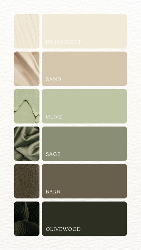 Discover the beauty of nature with this palette of parchment beige, sandy neutrals, soft olive green, rich olivewood brown, bark brown, and sage green. Perfect for rustic branding, organic packaging, or cozy home decor, these earthy tones bring warmth and authenticity to your projects. Sage Charcoal Palette, Cool Tone Color Scheme, Green And Natural Wood Color Palette, Olive Wedding Palette, Clean Earthy Aesthetic, Beige Green Colour Palette, Natural Tone Color Palette, Natural Earthy Color Palette, Sage Green Website Design