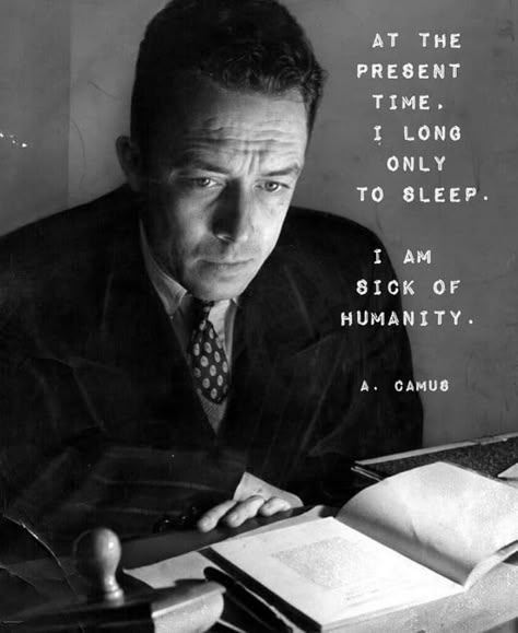 The Stranger Book, The Stranger Albert Camus, Stranger Quotes, Albert Camus Quotes, Camus Quotes, Cosmic Cowboy, Literature Humor, The Stranger, Dark Sky