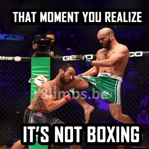 Tag a friend who should stop his combat sport and start Muay Thai #muaythaimeme #muaythaimemes #muaythai #muaythai #thaiboxing #fighter #kickboxer #mma #LouvainLaNeuve #coach #8limbs #Belgium Muay Thai Memes Funny, Thai Meme, Combat Sport, Tag A Friend, Muay Thai, Kickboxing, Belgium, Funny Pictures, Funny Memes