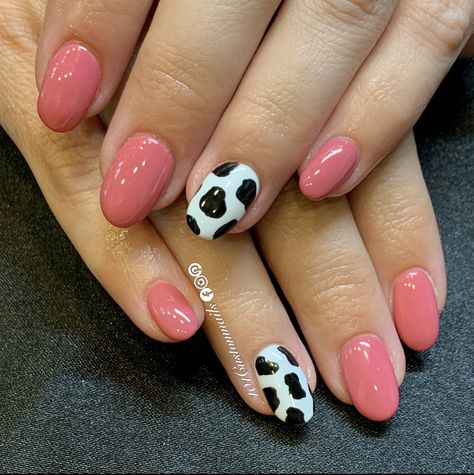 Cute Fall Cow Print Nails, Fall Nails With Cow Print, Short Almond Cow Print Nails, Cow Print Accent Nails, Cowprint Nail Design Almond, Cow Print Valentine Nails, Short Cow Nails, Pink Cowprint Nails, Cow Nail Designs