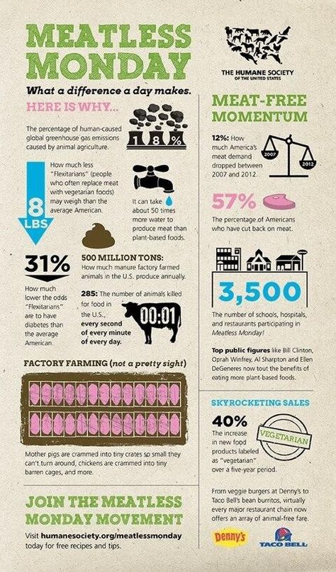 Meatless Monday Infographic // I know giving up meat isn't for everyone, but you can still make a big difference in the world just by saying no to meat once a wk. Not only will this kind and compassionate act help the animals, it will also help your body and general health as well. Vegan Facts, Vegetarian Lifestyle, Meatless Mondays, Why Vegan, Going Vegetarian, Things To Eat, Save Animals, Meatless Monday, How To Eat Less