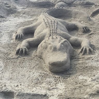 Adventures in Weseland: The Sandcastle Classic Sand Castle Ideas, Sandcastle Competition, Beach Sand Castles, Beach Sand Art, Castle Ideas, Sand Sculpture, Sand Castles, Sand Sculptures, Sand Art