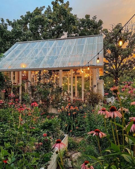 Greenhouse Backyard Design, Greenhouse Flower Garden, Hoop Green House Ideas, Apricot Lane Farms, Pretty Greenhouse Ideas, Greenhouse Aesthetic Cozy, Barndominium Greenhouse, Green House Asthetics, Backyard With Greenhouse