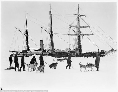 The Imperial Trans-Antarctic Expedition, which lasted from 1915 until 1917, is known as the last of the Heroic Age of Antarctic exploration and saw Ernest Henry Shackleton attempt to cross the South Pole on foot  NATIONAL PUBLICITY!   "The end of Endurance: Fascinating images capture Shackleton's doomed vessel's last voyage before it was crushed to pieces by ice leaving the crew stranded" FEATURING THE ENDURANCE by #SeaforthPublishing as seen in the Daily Mail.  http://www.dailymail.co.uk/news/a South Georgia Island, Nautical Pictures, Mountains Of Madness, Arctic Explorers, Heroic Age, Early Explorers, The Oregon Trail, Sailing Vessel, Oregon Trail