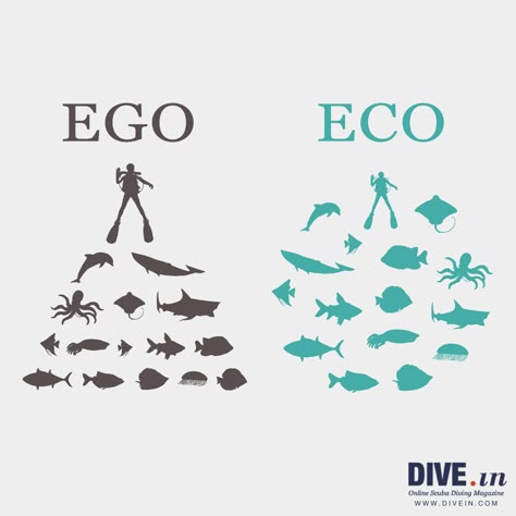 One letter can make a huge difference #scuba #diving #marinelife Oceanography Marine Biology, Scuba Diving Quotes, Diving Quotes, Cave Diving, Scuba Diving Gear, Marine Biologist, Scuba Dive, Diving Gear, Oceanography