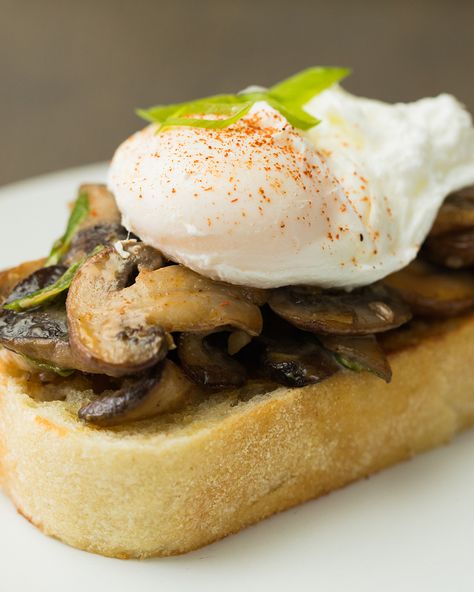 Creamy Mushroom Toasts Recipe by Tasty Mushroom Toast With Egg, Creamy Mushroom Toast, Buttered Bread, Mushroom Toast, Egg Dishes, Poached Egg, Easy Smoothie Recipes, Creamy Mushrooms, Healthy Snacks Easy