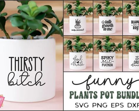 Succulent Signs Funny, Cricut Projects Plant Pots, Funny Plant Pot Sayings, Succulent Sayings Funny, Funny Planter Sayings, Plant Quotes Funny Humor, Planter Sayings, Funny Planters, Plant Pot Sayings