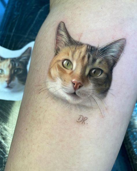 𝘔𝘢𝘳𝘪𝘢 𝑫𝑶𝑹𝑨 𝑹𝑶𝑪𝑯𝑨 (@senhoradoratattoo) • Instagram photos and videos Realism Cat Tattoo, Realistic Cat Tattoo, Cm Tattoo, Boxer Dog Tattoo, Cat Face Tattoos, Tattoo Gato, Cat Portrait Tattoos, Pet Memorial Tattoo, Green Tattoos