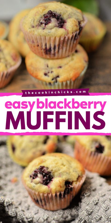 This Blackberry Muffins recipe is perfect for your Mother's Day brunch menu! A delectable summer breakfast idea that's simple, yet flavorful, moist and packed with juicy blackberries. This blackberry dessert recipe will brighten up anyone's morning! Easy Blackberry Muffins Recipes, Blackberry Oatmeal Muffins, Blackberry Muffins Recipes, Blackberry Breakfast Recipes, Blackberry Muffins Healthy, Recipes With Blackberries, Blackberry Muffins Easy, Black Raspberry Recipes, Blackberry Dessert Recipes