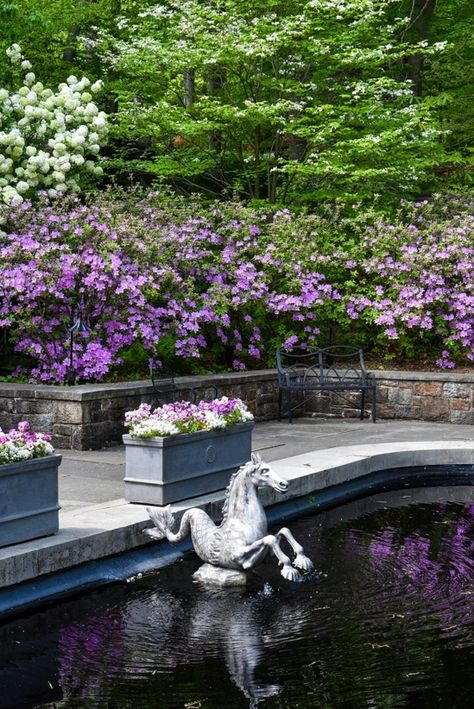 Winterthur Gardens, Naturalistic Garden, Winterthur Museum, Lectures Hall, Reflecting Pool, Winterthur, Biltmore Estate, National Treasure, Stunning Interiors