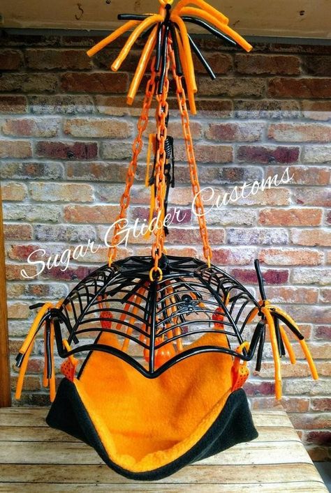 Halloween Rat Cage, Diy Parakeet Toys, Rat Breeding, Rat Ideas, Sugar Glider Baby, Pet Rat Cages, Sugar Glider Pet, Rattus Rattus, Diy Cat Hammock