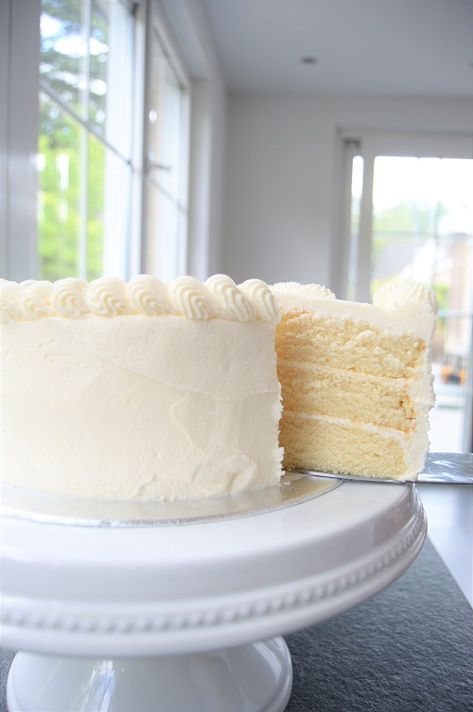 White Cake from Scratch | Sprinkle of This White Cake Recipe From Scratch, White Cake From Scratch, Baking Room, Cake Recipe From Scratch, Betty Crocker Cake, Cake From Scratch, Flat Cakes, Fluffy Cake, Sweet Temptation