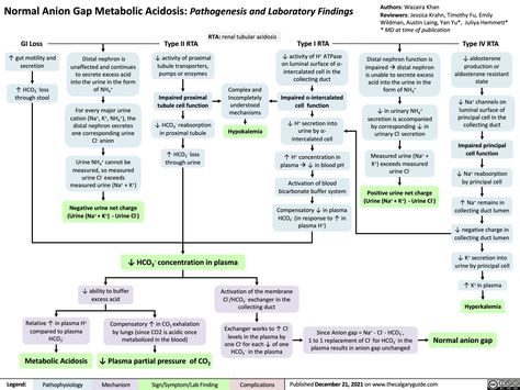 Normal Anion Gap Metabolic Acidosis: Pathogenesis and Laboratory Findings | Calgary Guide Metabolic Acidosis Vs Alkalosis Nursing, Biology Flow Chart, Metabolic Research Center Phase 1, Anion Gap, Flow Cytometry Analysis, Metabolic Acidosis, Central Library Calgary, Med Lab, Lab Tech