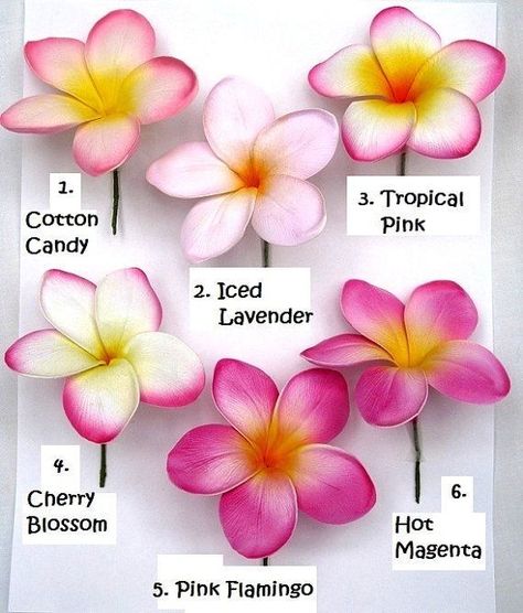 Fiori Frangipani, Flores Plumeria, Hawaiian Aesthetic, Frosting Piping, Plumeria Tattoo, Săpunuri Handmade, Card Flowers, Fleurs Diy, Gouache Paint