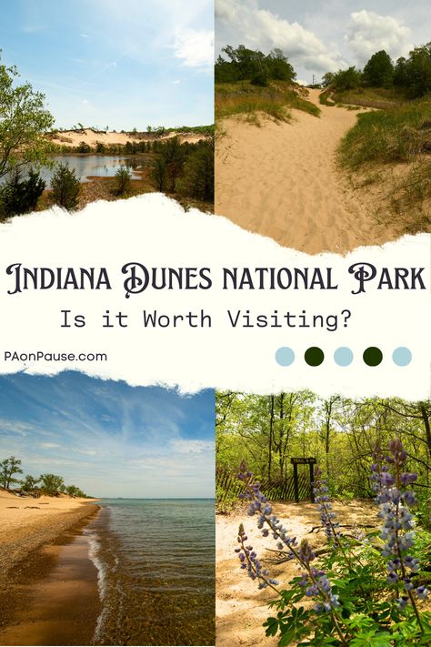 Are you wondering is Indiana Dunes National Park worth visiting? We've got you covered with all the information you need to make your decision. Whether you're looking for a beach day trip from Chicago, or an adventurous hike through the sandy landscape, check out our post for the best information on what to do and where to stay to get the most out of your Indiana Dunes experience! Sandy Landscape, Day Trips From Chicago, Beach Day Trip, Indiana Dunes State Park, Indiana Dunes National Park, Indiana Travel, Indiana Dunes, Michigan City, Road Trip Planning