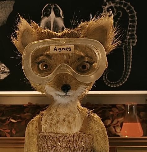 Fantastic Mr Fox Pfp, Fantastic Mr Fox Costume, Fox Pfp, Fox Icon, Fantastic Fox, Fox Costume, Mister Fantastic, Wes Anderson Movies, Wes Anderson Films