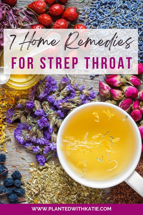 Explore these 7 amazing home remedies for strep throat! From soothing salt water gargles to the natural power of oregano oil, echinacea, and vitamin C, you'll learn how to ease discomfort, reduce inflammation, and boost your immune system. Your body will thank you! 🌿💪 #StrepThroatRemedies #NaturalHealing #FoodIsMedicine #herbalremedies Holistic Remedies For Strep Throat, Homeopathic Strep Throat Remedies, Herbal Remedies For Strep Throat, Swollen Tonsils Remedy How To Get Rid, How To Heal Strep Throat Naturally, Tea For Strep Throat, Herbs For Strep Throat, Natural Remedy For Strep Throat, Diy Strep Throat Remedy