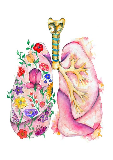 Anatomy in Bloom — Almost Anatomical Flower Lungs, Lungs Art, Medical Drawings, Watercolour Flower, Biology Art, Human Anatomy Art, Medical Anatomy, Medical Art, Plant Drawing