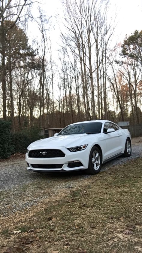 White Mustang With Pink Stripes, 2017 Mustang Gt, White Mustang Aesthetic, White Mustang Gt, V6 Mustang, 2005 Mustang, White Mustang, Mustang 2018, 2017 Mustang