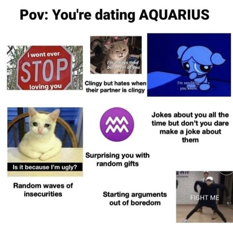 Dating An Aquarius, Zodiac Leo Art, Aquarius Personality, Sagittarius Moon, Aquarius Traits, Aquarius Truths, Aquarius Rising, Aquarius Life, Zodiac Characters