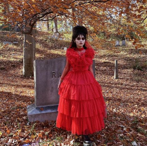 Lydia Deetz Dress, Lydia Beetlejuice Costume, Tim Burton Halloween Costumes, Beetlejuice Outfits, Victorian Costume Halloween, 2022 Costumes, Lydia Deetz Costume, Lydia Deetz Cosplay, Beetlejuice Halloween Costume